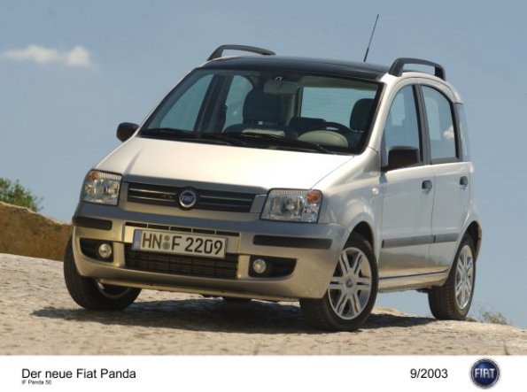 Eine Außenaufnahme des Fiat Panda