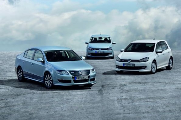 Auch andere Modelle von Volkswagen tragen das Label Bluemotion