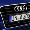 <p>Detail am Audi A3 Sportback g-tron Farbe: Estorilblau Kristalleffekt</p>