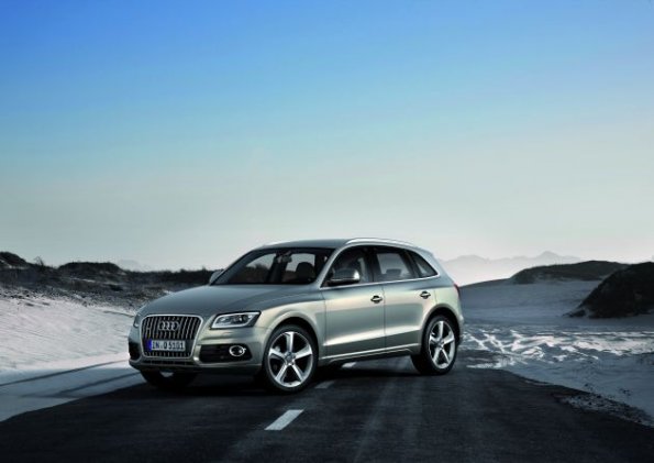 Der Audi Q5 im Bild