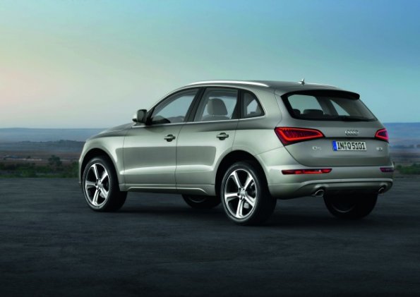 Die Heck- und Seitenpartie des Audi Q5