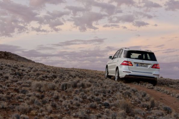 ML 250 BLUETEC (W166) 2011