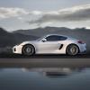 <p>Der Porsche Cayman  im Profil </p>