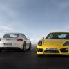 Heck und Front am Porsche Cayman und Cayman S