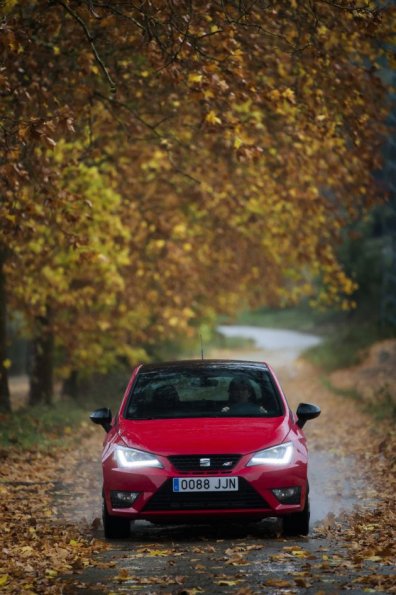 Die Frontansicht des Seat Ibiza Cupra