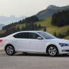 Die Silhouette des Skoda Superb Greenline 